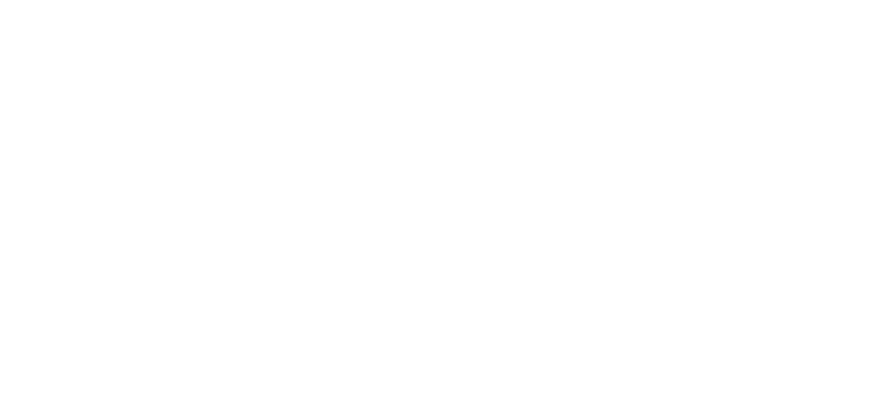 Logo de Phygicab Audit et conseils